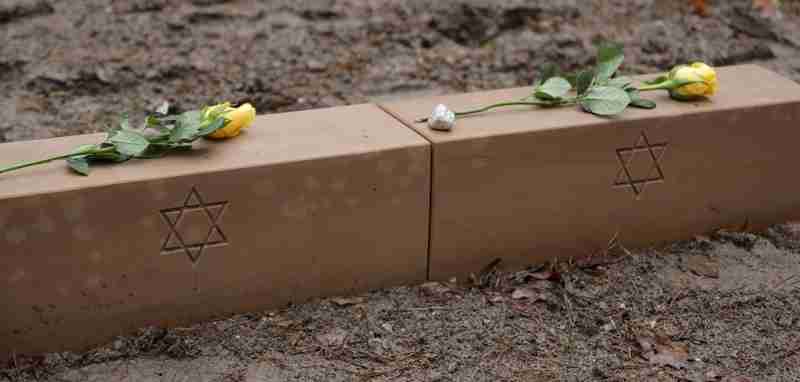 Blumen und Steine auf einem Grabstein des Häftlingsfriedhofs Flößberg